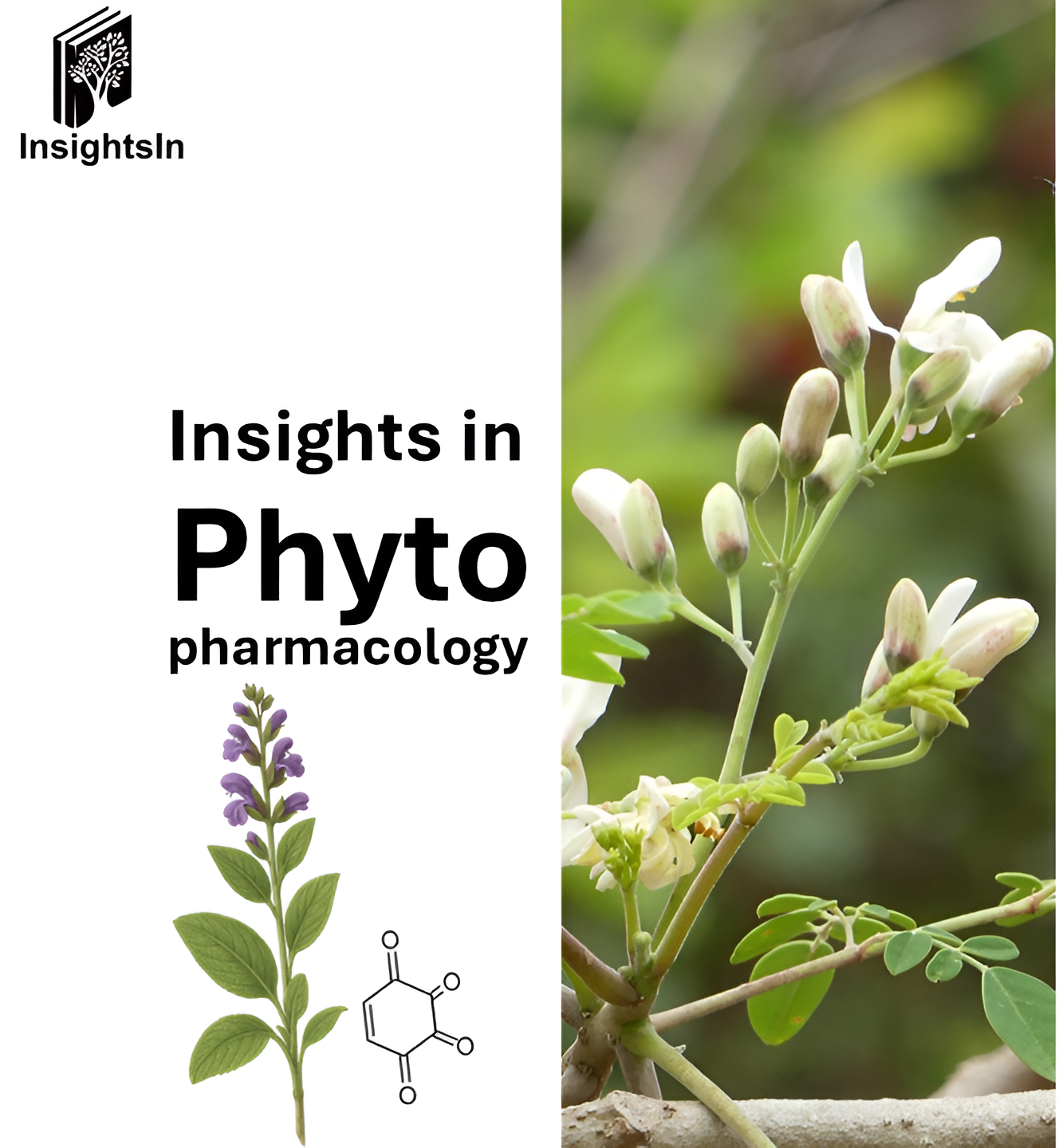 Phytopharmacology